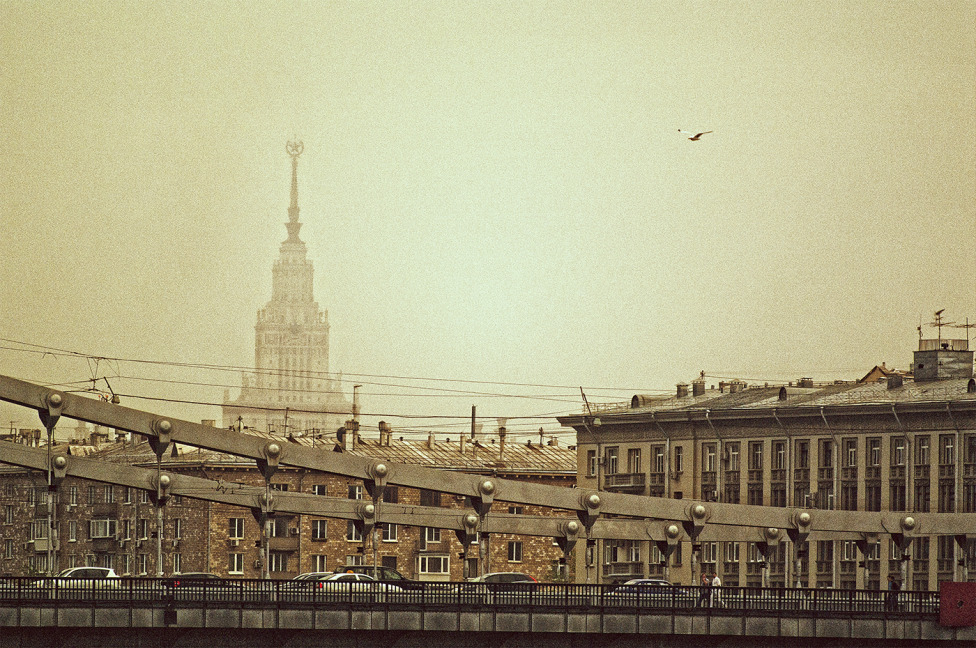 © Alexei Vetrov - Московская чайка.