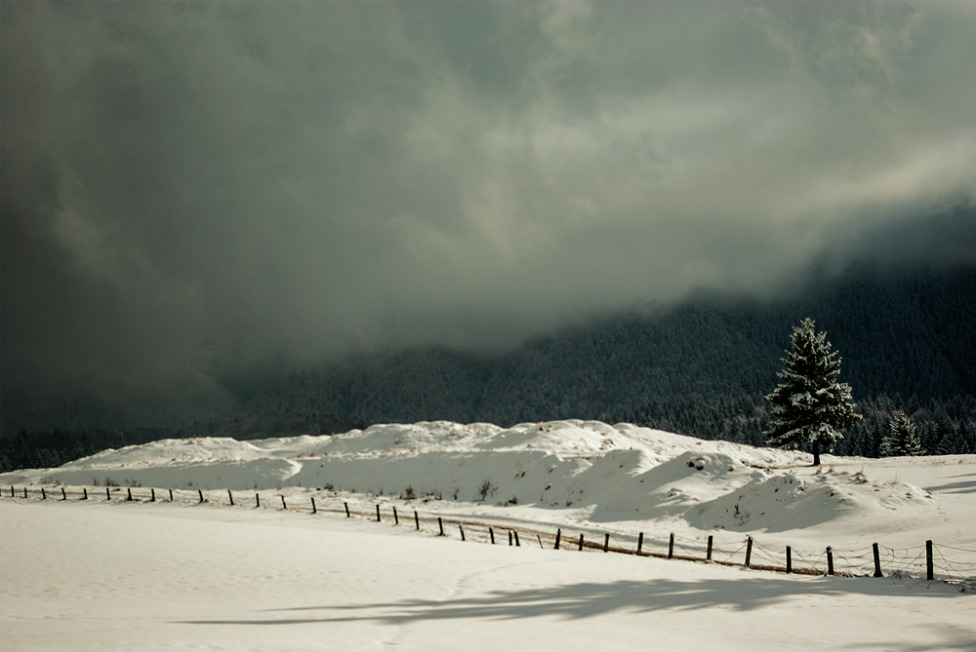 © Leonard Petraru - winter day