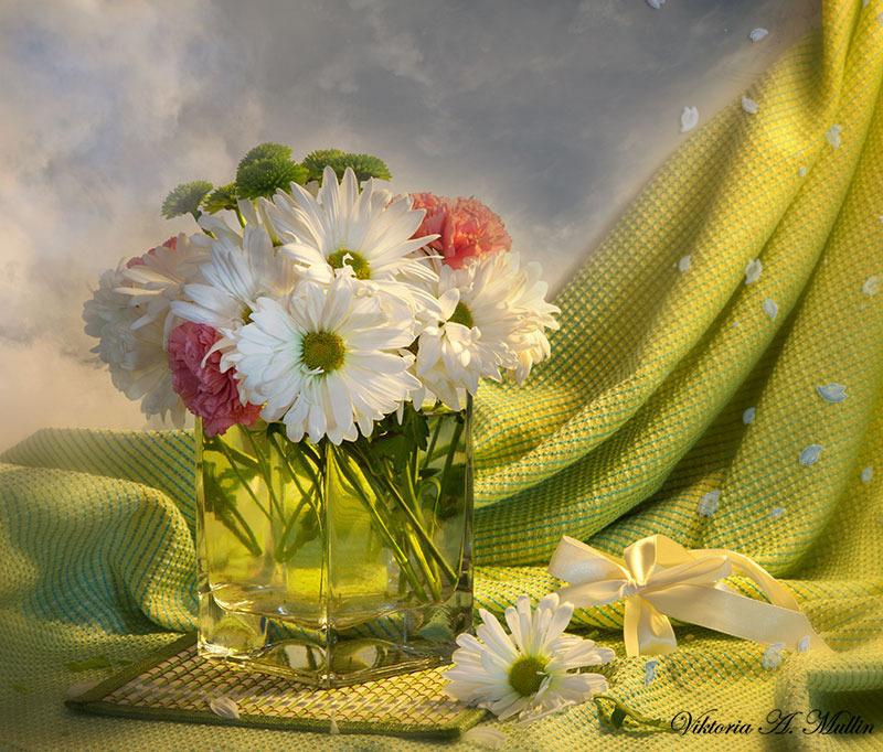 © Viktoria Mullin - White Chrysanthemums-Viktoria Mullin_0548