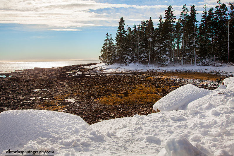 © Viktoria Mullin - Acadia National Park Winter-Maine-Viktoria Mullin_8191
