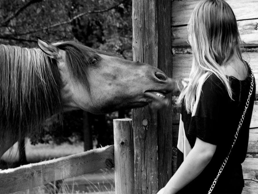 © © jarek sylwestrzak - *
