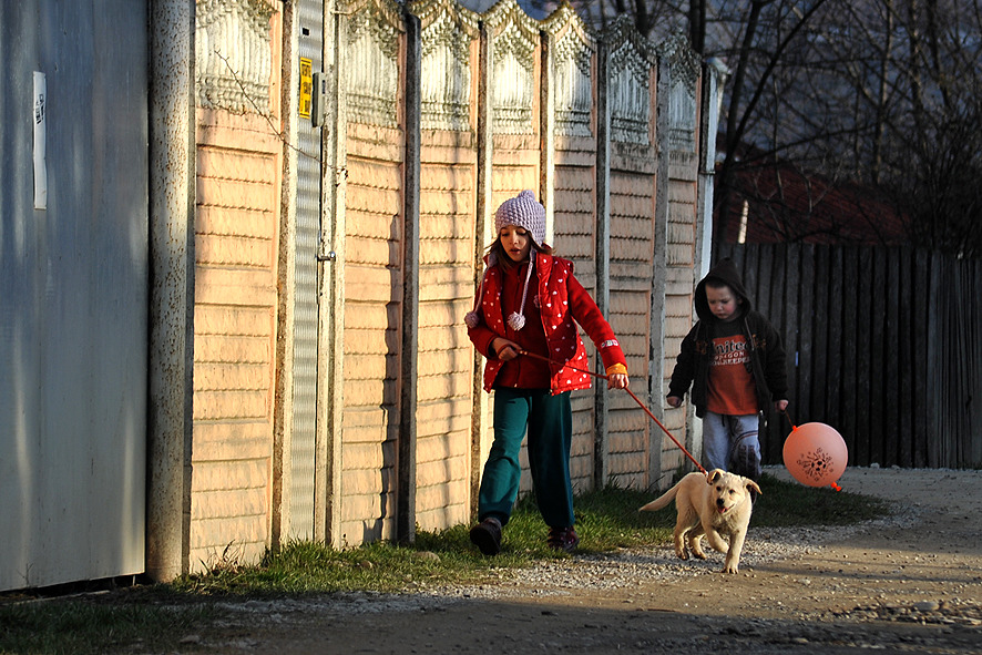 © moldovan marin - **