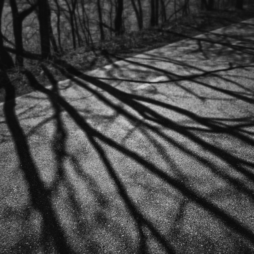 © Jean-Francois Dupuis - Shadow