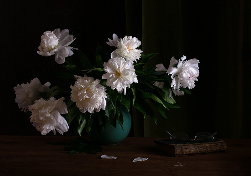 © Matild Balogh - Peony