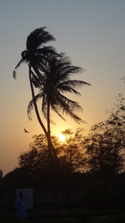 © Shobhna Pareta - sunset