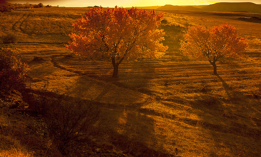 © Shushan Harutyunyan - Осенний этюд