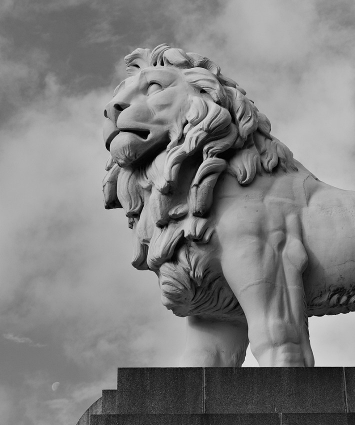 © Svein Wiiger Olsen - The Southbank Lion 2