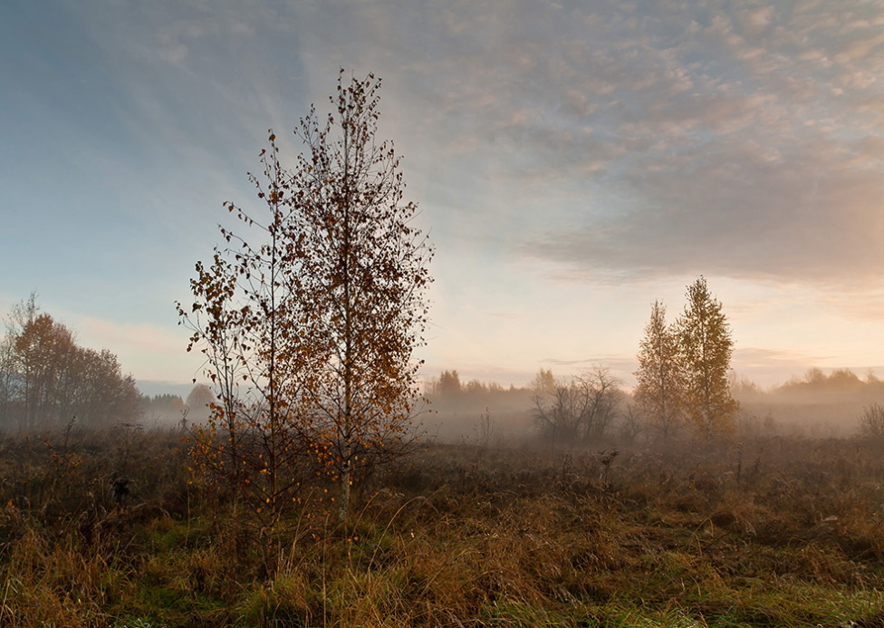 © Наталья Гобова - Октябрь, утро, туман.