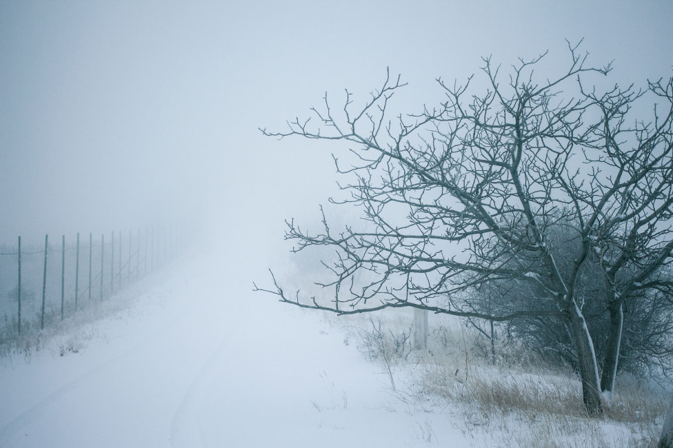 © Hamlet Hayrapetyan - fog