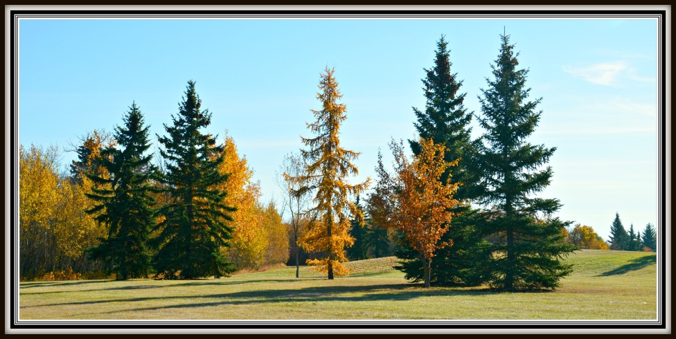 © Slava Averbakh - Golden Autumn Canada