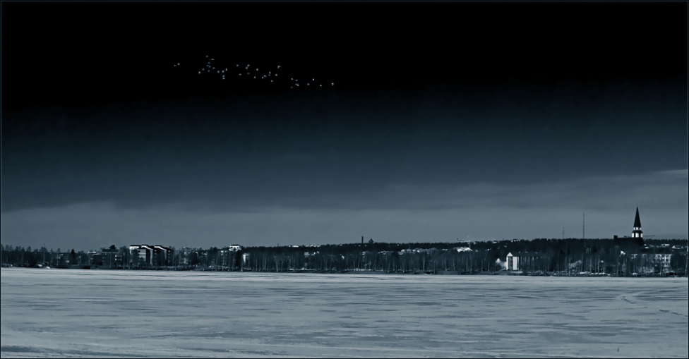 © Nikolai Malykh - Белые птицы над замерзшей водой