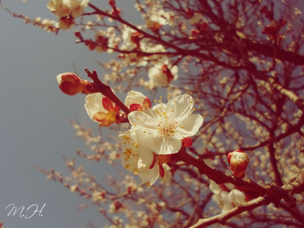 © Upside Down - spring