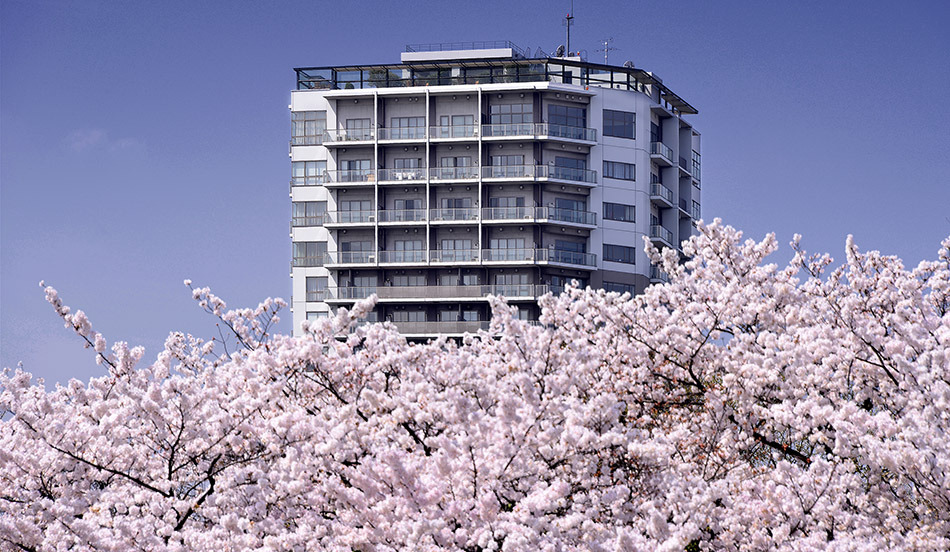 © Svein Wiiger Olsen - Cherry blossom in the Ueno Park in Tokyo