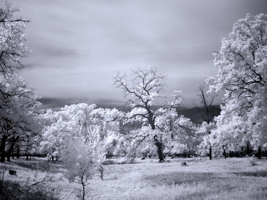 © Александр Варыханов - Another world