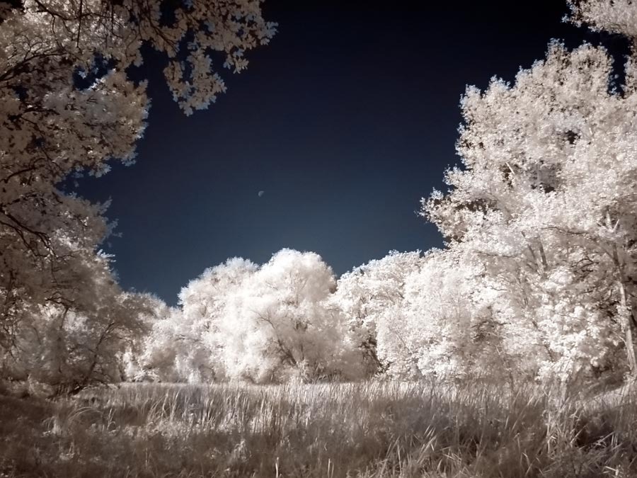 © Александр Варыханов - Blue moon