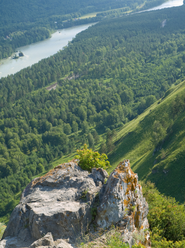 © Alexander Zholobov - Алтай. Нижняя Катунь.