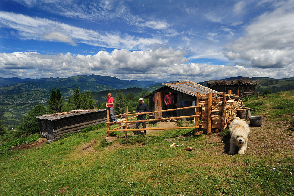 © moldovan marin - La pas prin Maramures