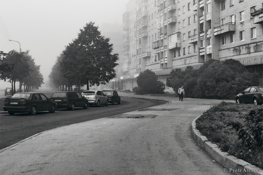 © Pyotr Alexeev - Fog