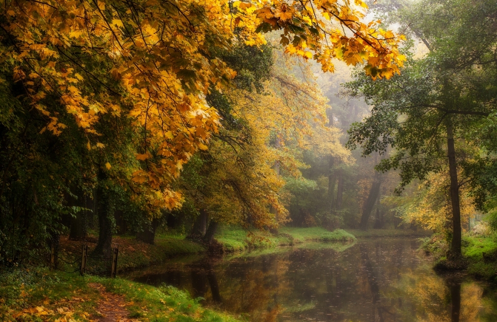 © Ondrej Tichy - Осенняя река