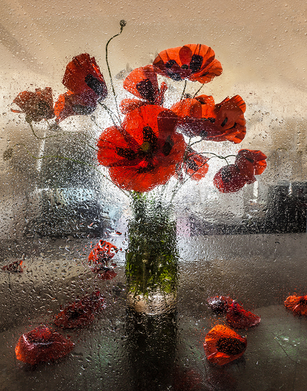 © Shushan Harutyunyan - Маки цветут...