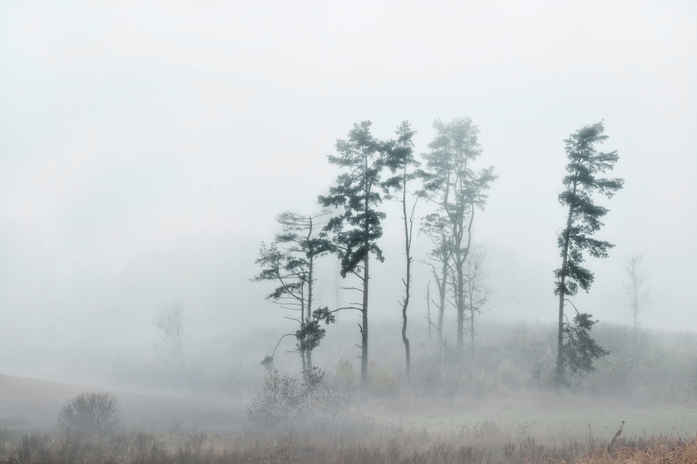 © Rimantas Bikulčius - Mолчать в тумане ...