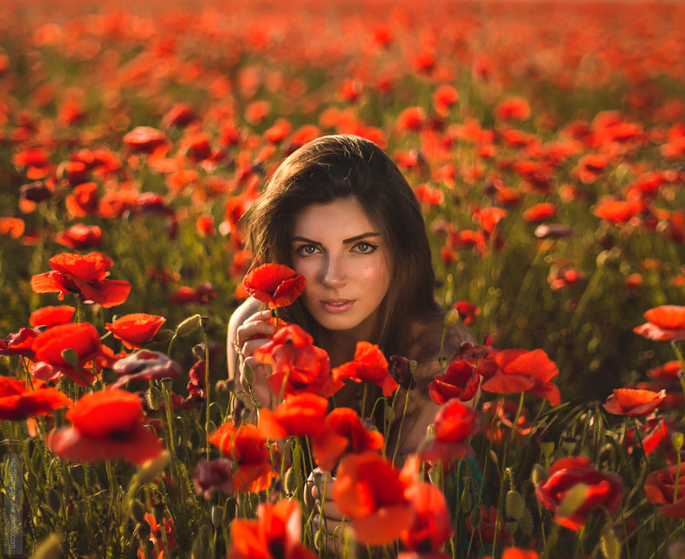 © Владислав Гаюха - The poppies