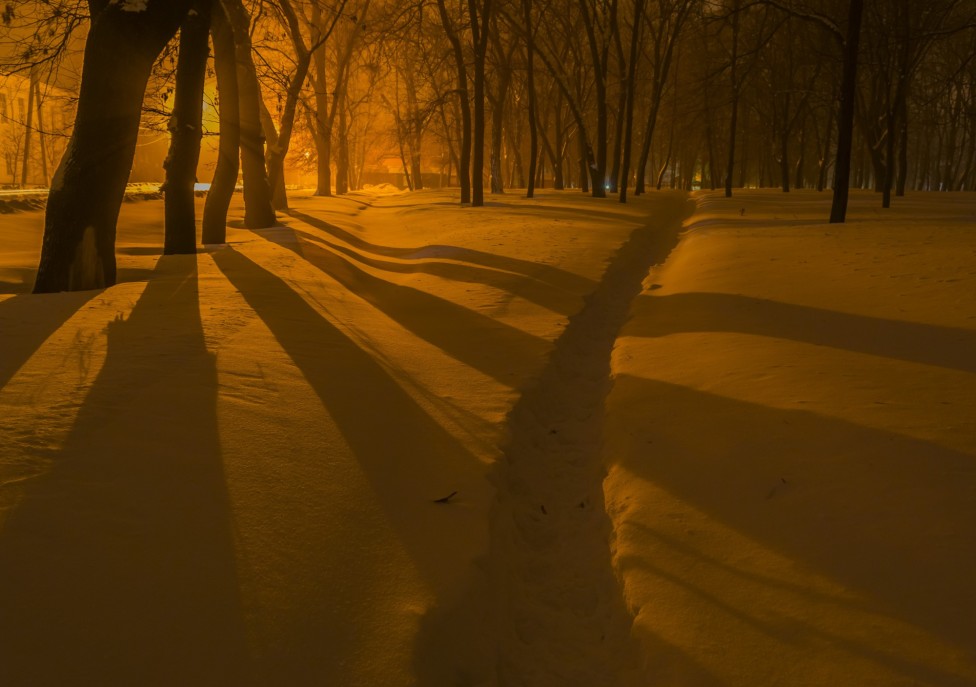 © Сергей Корнев - Тени на снегу