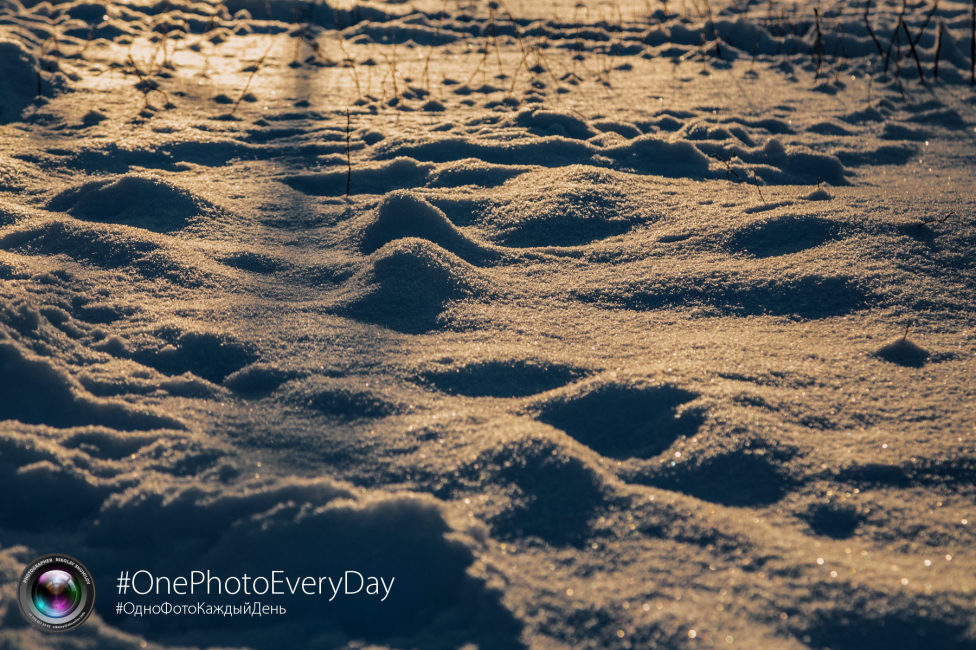 © Nikolay Shumilov - Sunny snow