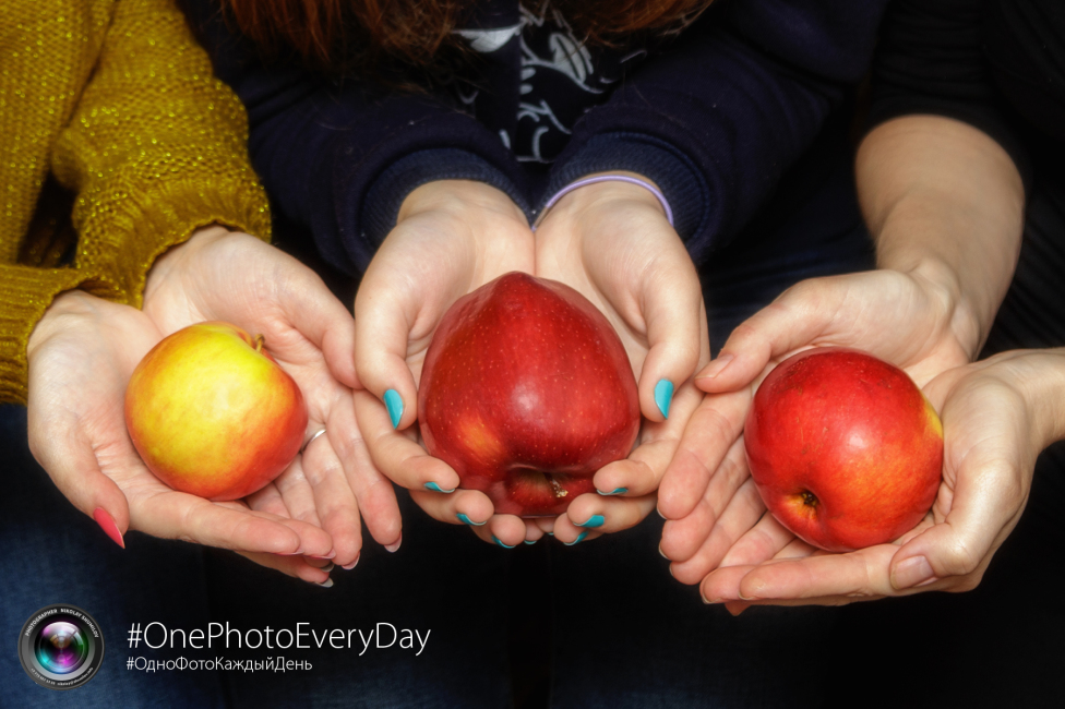 © Nikolay Shumilov - Apples in the hands