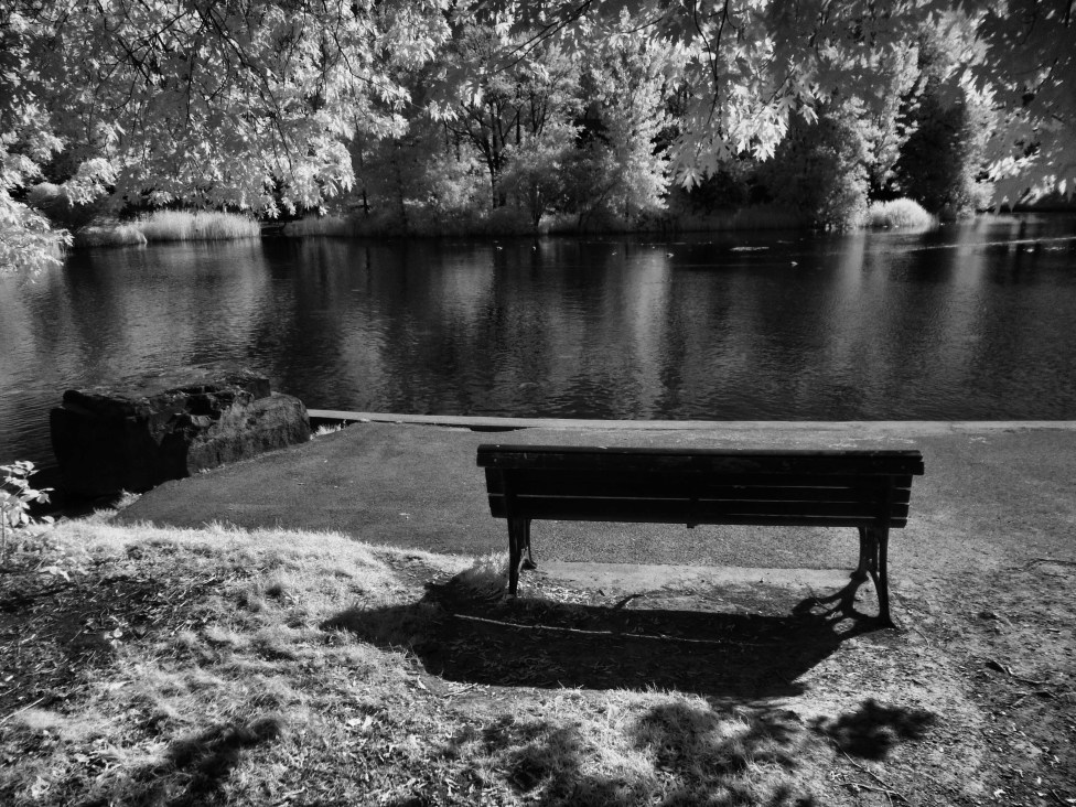 © Jean-Francois Dupuis - Bench