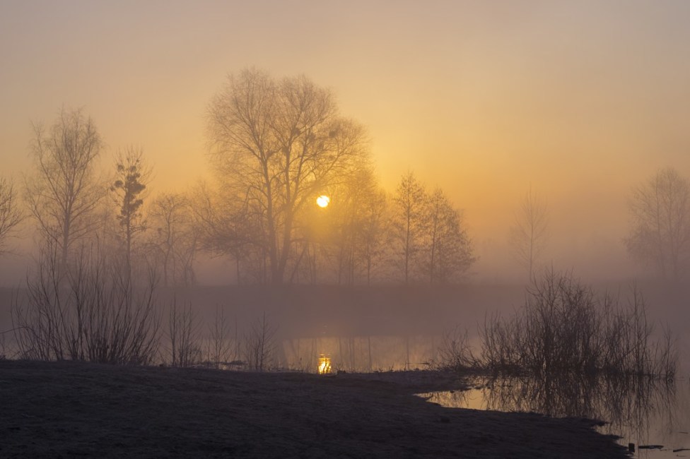 © Сергей Корнев - Туманное утро