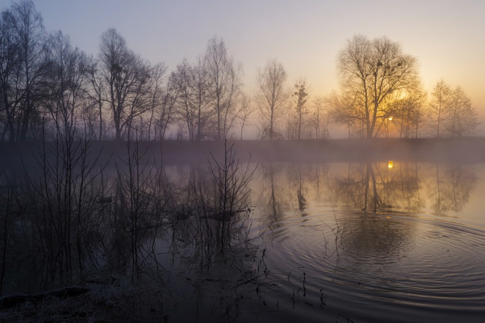 © Сергей Корнев - Про утро и туман