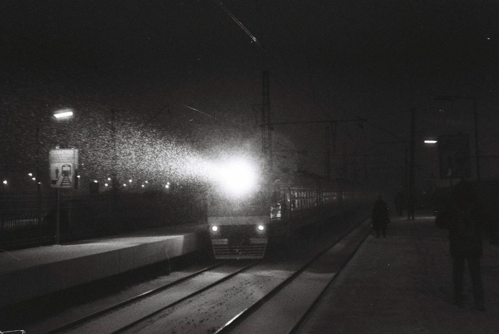 © Zen Snake - Night Train