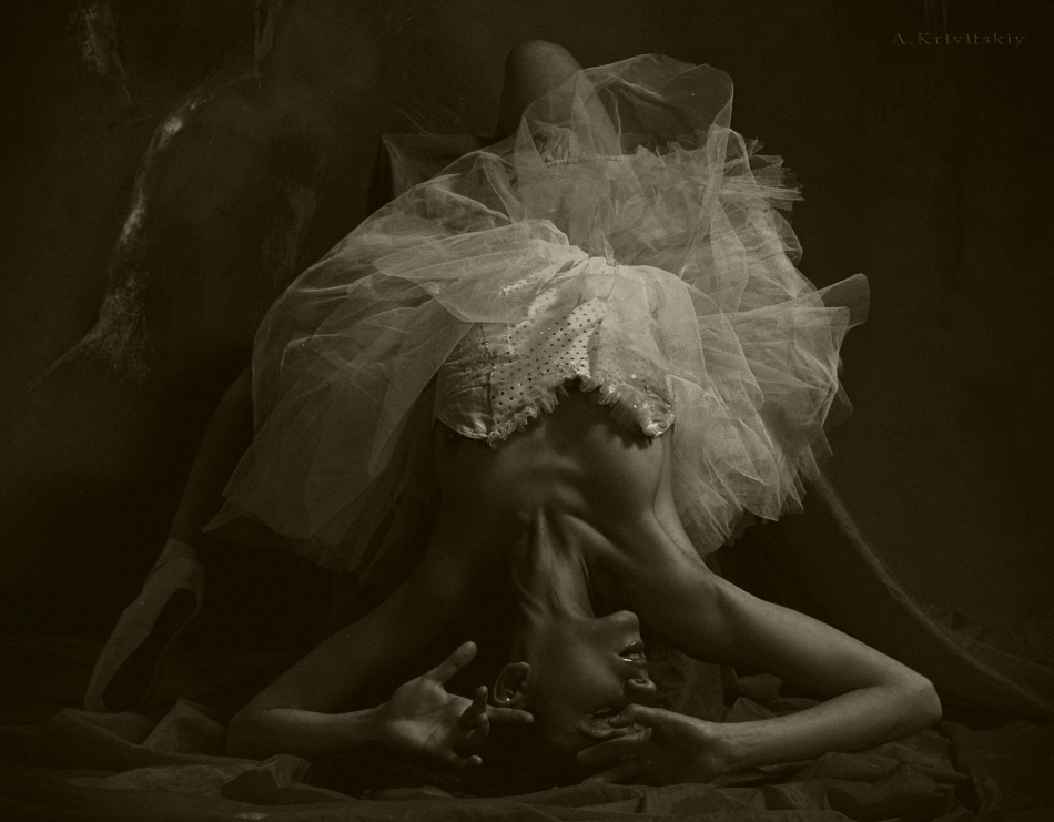 © Alexander Krivitskiy - Пачка в балете.