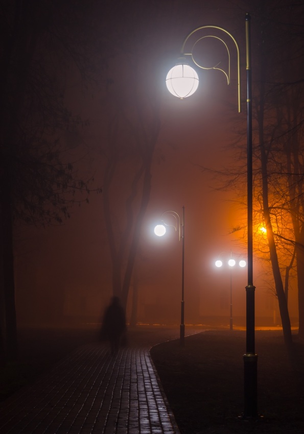 © Сергей Корнев - Прогулка в тумане